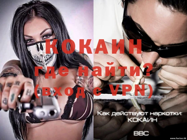 винт Абаза
