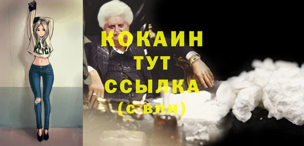 винт Абаза